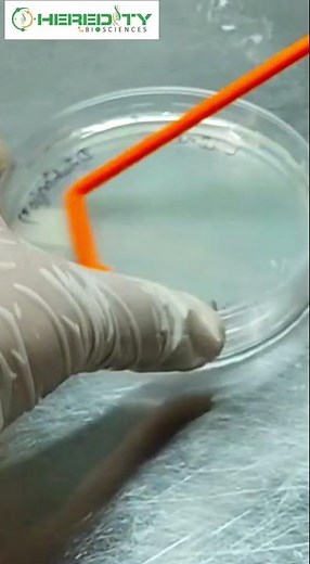 Spread plate method #microbiology #hereditybioacademy