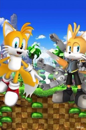 tails vs tails nine