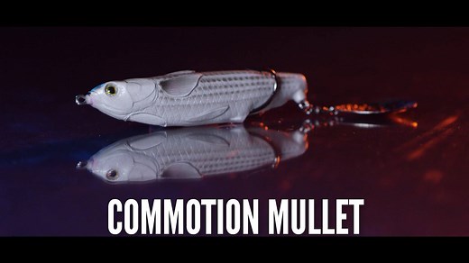 3.4K views · 72 reactions | Designed with a realistic mullet profile, the LIVETARGET Commotion Mullet is an easy to use top water bait that casts far with excellent accuracy. Retrieve it fast or slow. This open water bait triggers big fish bites with its spinning Colorado blade. In motion, the blade generates a big splash, creates a bubble trail and emits a loud dense sound. Equipped with an extra strong carbon steel double hook. | LIVETARGET Lures | Facebook