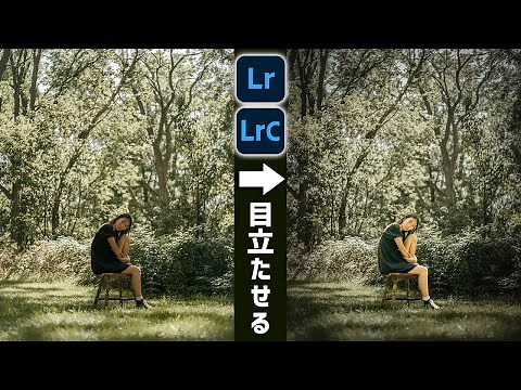【Lightroom講座】目立たない被写体を目立たせる写真編集方法
