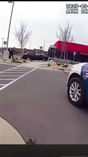 Police K9 thrown in vehicle to attack criminal!! #reactionvideos #k9 #policechase #carram #drugs