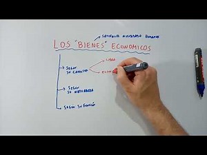 Clasificación de los bienes Económicos (fácil)