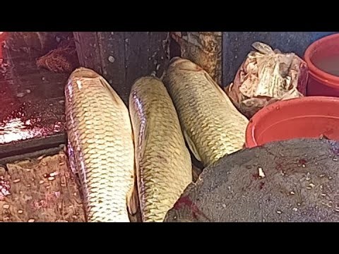 আসসালামু আলাইকুম @gmh07 Fish cutting live☞