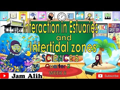 GRADE 5 SCIENCE LESSON [QUARTER 2, WEEK 6] interaction in Estuaries and Intertidal Zone