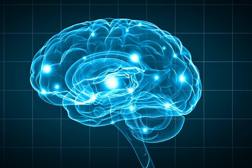 Dopamine : à quoi sert cette "hormone du bonheur" ?