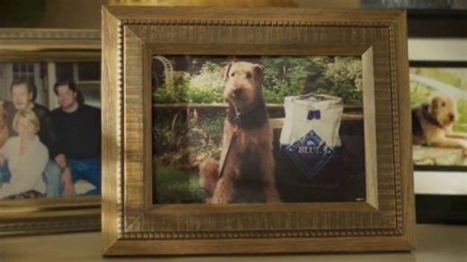 Blue Buffalo TV Spot, 'I Promise'