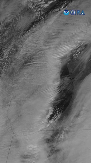 Fascinating view of mesovortices rippling within a snow band over Lake Michigan yesterday. Details: This animation contains the visible (band 2) product from the GOES-19 weather satellite. It spans the eight-and-a-half hour period from 13:31 UTC to 21:56 UTC on 2025-11-09. | Cooperative Institute for Research in the Atmosphere