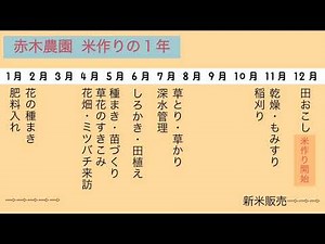 赤木さんちの米作り その２「米作りの１年」