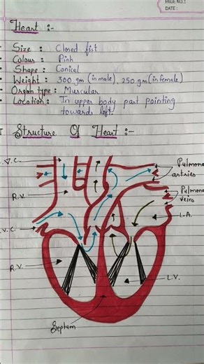 Class 10 Science Ch-5 notes Part-8#viralshorts#class10notes