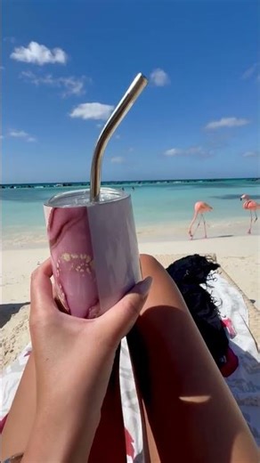 These flamingos came out of nowhere in Aruba #wildlife #beachday #flamingo #aruba