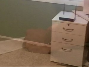 High Speed DSL Modem Installation - Pro Tech DSL Cord for Phone Jack To Modem Setup