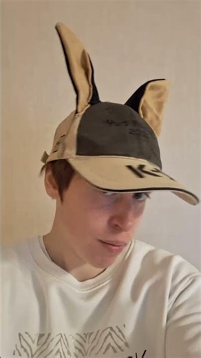 K-9 dog 🐶 baseball cap! (homemade ears!) #shortvideo #shorts #dogcosplay #baseballcaps #headwear