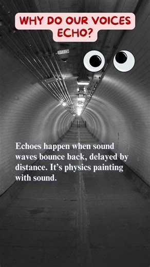 What makes our voices ECHO back at us? | Echo | Voices #shorts