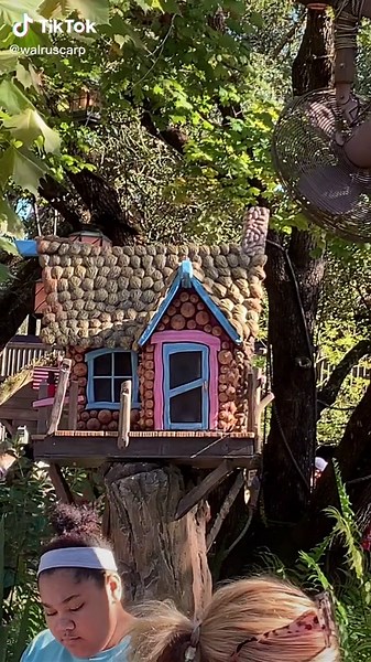 One last Hidden Mickey then off to our next attraction. #splashmountain #hiddenmickeychallenge #hiddenmickeys