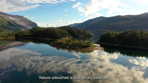 The Magic Of E-Biotic Pro