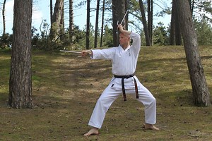 3 Types of Kiai (including the one you didn’t know) - The Digi Dojo