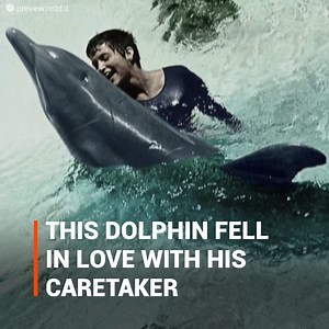 1M views · 7.3K reactions | Margaret Howe Lovatt never imagined she...