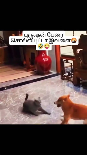 😂 Suna Pana Vadivelu Comedy 🤣 | Non Stop Laugh Guaranteed! #tamilmemes #fun #vadivelu #ComedyGold