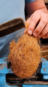 Turning a coconut into something useful (AI) | Creative Panda