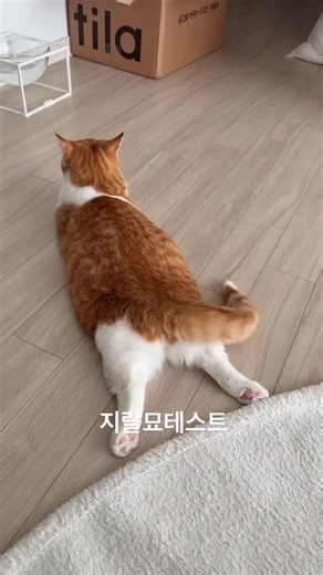 viral kitty on Instagram: "In Japan, researchers are using smart walkways to turn everyday activities into clean energy 4. These roads are embedded with special piezoelectric material that can collect kinetic energy from pedestrians' footsteps. When people walk, run or jump, the road surface is slightly deformed, creating mechanical pressure. Piezoelectric crystals convert this pressure into electrical energy. This energy can be used to illuminate street lights, power public displays, and even m