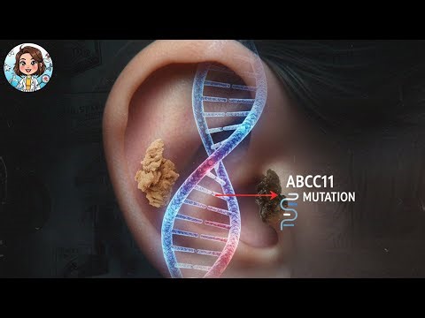Sec ou humide : le type de votre cérumen pourrait changer tout ce que vous croyez savoir sur vous