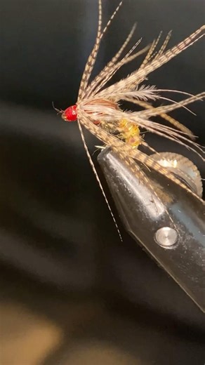 This might be the most effective fly ever made! The Holy Grail Fly!