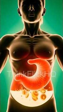 Ever wondered what a simple donut actually does inside your body?😱