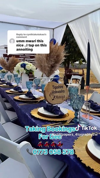 Affordable Decor Ideas for 20 Guests at $180