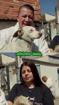 A transformação real, o projeto da nova casa de Bianca - Acumuladores