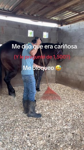 Trabajito 👌🏻🥵#caballosdecarreras