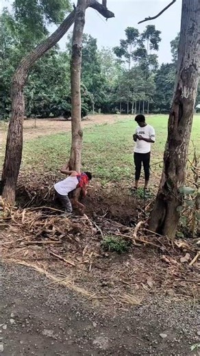 with for and 🤣#shorts #ytshorts #funny #comedyvideos