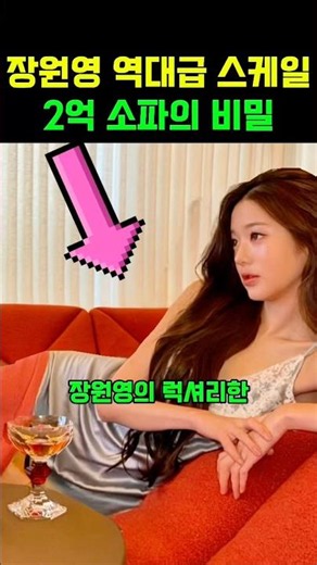 장원영 한남동 집 인테리어✨ 2억 추정 소파의 비밀 #장원영쇼파 #거실쇼파추천 #연예인집공개