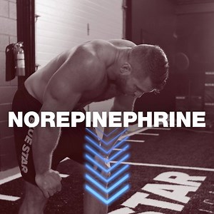 1K reactions · 272 shares | Fat Loss New Year's Resolution? ...