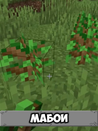 Minecraft: How You're Planting Trees Incorrectly (Fix It Fast)