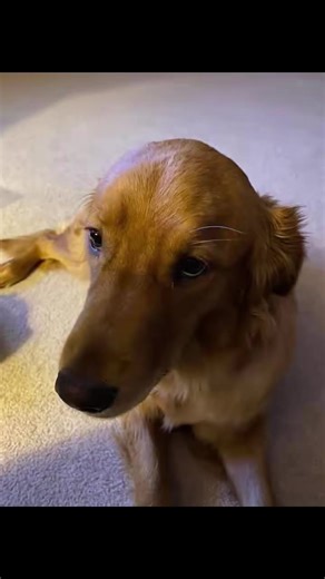 Michael Grant (@michael.grant0662)’s videos with original sound - Michael Grant