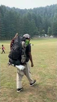 The Cure for a Noisy Mind #selfimprovement #mindfulness