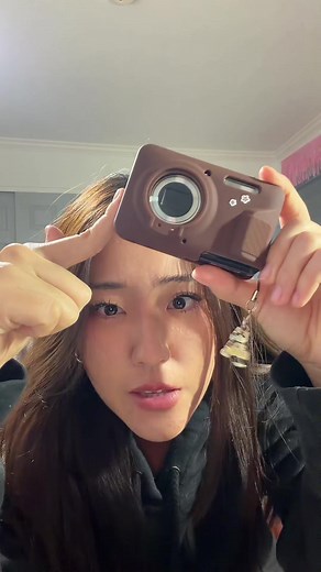 Kodak Pixpro FZ55 Flash Problem Solutions