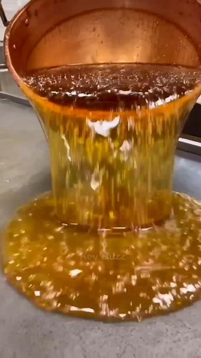 Amazing Facts على TikTok