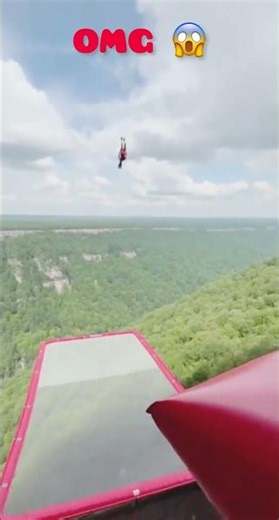 the world's tallest diving board