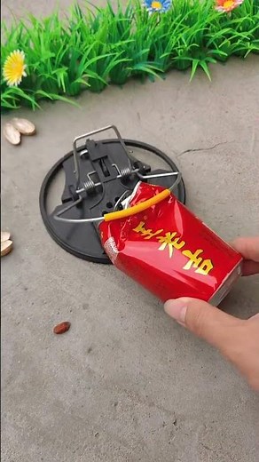 Smart Mouse Trap - Catch Rodents in Seconds