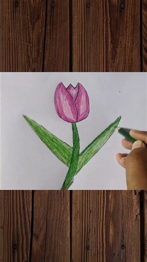 easy Tulip Drawing #shorts