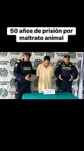 Lo que ves aquí está conmoviendo al mundo entero… directo al corazón”😭😭😭 | El Tiburon