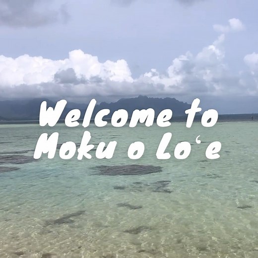 HIMB on Instagram: "Welcome to Moku o Loʻe! Also known as Coconut Island, it is the home of the Hawaiʻi Institute of Marine Biology. Take a walk around the island and enjoy all the beautiful views of Kāneʻohe Bay!"