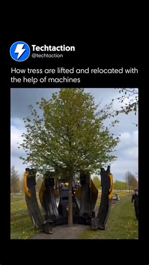 Interesting Tech Videos!🎬 on Instagram: "Massive machines with powerful lifting arms and hydraulic systems carefully approach the tree, securing its trunk and surrounding soil. Workers pay close attention to protecting the root ball, ensuring it remains intact to preserve the tree’s health during the relocation process. Once stabilized, the tree is slowly lifted from the ground, with its roots shielded and the soil left undisturbed. From there, it is placed onto specialized platforms or trailer