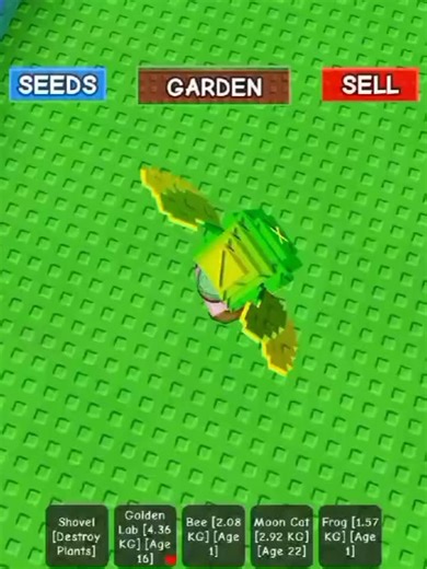 PineTreePrincess on TikTok