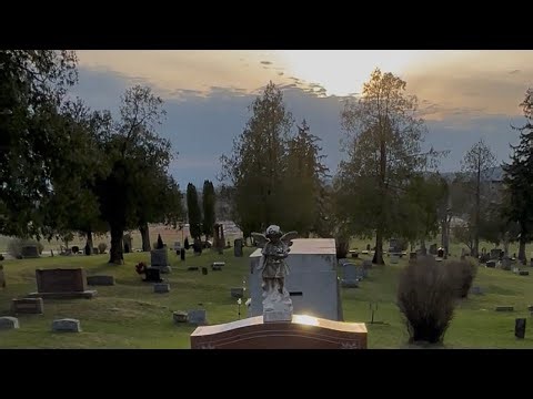 Strange noise from the crypt 