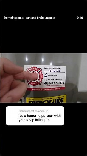 What Happens If You Find Termites in Your House?