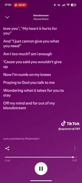 Bloodstream Alyssa Grace lyrics - Full lines & meaning