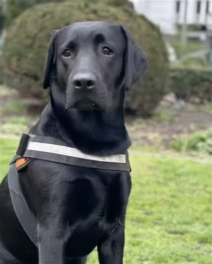 Paul Middleton on Reels