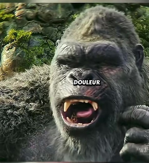 Vidéos de flash clip🎬 (@flash.clip842) avec son original - flash clip🎬